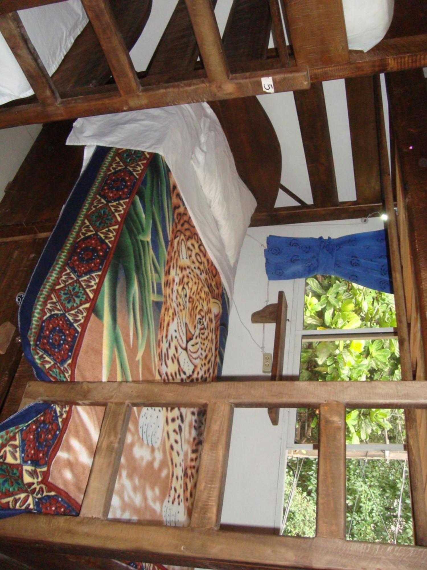 Arcadia Hostel Medellin Room photo
